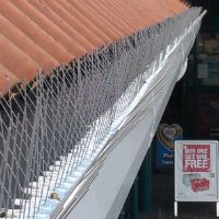 Bird Spikes Installation Bird Spikes Installation