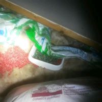 Spilled Poison Grain Bait Spilled Poison Grain Bait