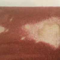 Damaged Carpet Damaged Carpet
