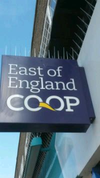 Bird Spikes installed to protect business signage Bird Spikes installed to protect business signage