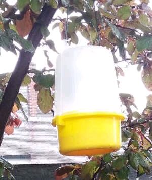 Wasp Funnel Trap Wasp Funnel Trap