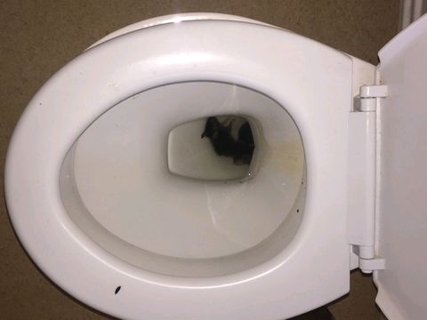 Careful where you choose to sit! Careful where you choose to sit!