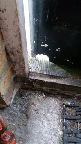 Rodent Damage Rodent Damage