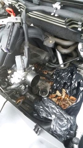 Engine Nest Engine Nest