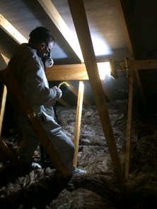 Woodworm Treatment Woodworm Treatment