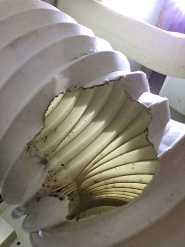 Chewed soil pipe Chewed soil pipe