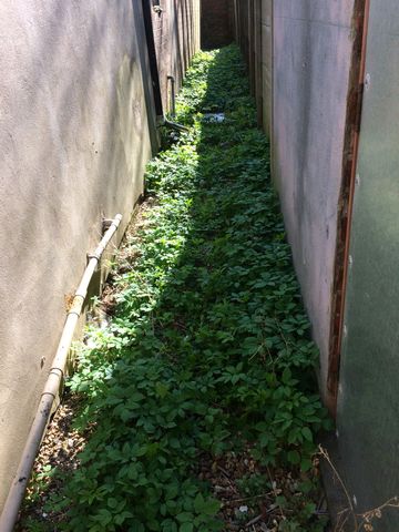 Overgrowth 1 Overgrowth 1