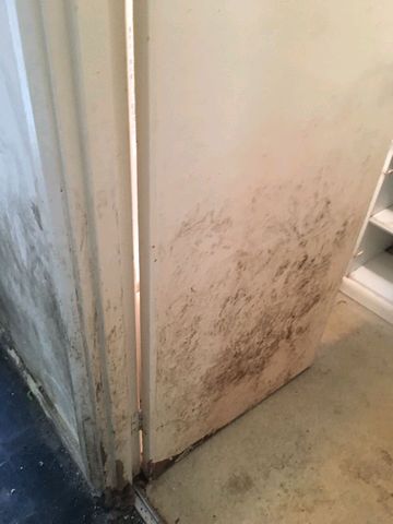 dirt wall dirt wall