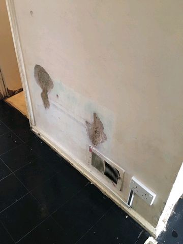 wall 1 after wall 1 after