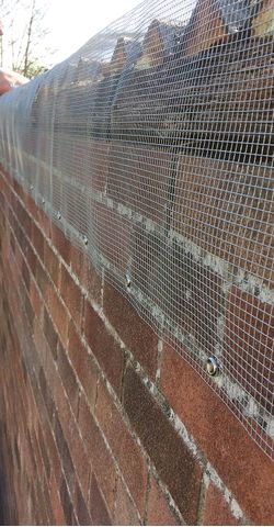 Wire mesh Wire mesh