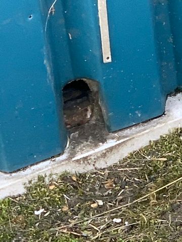 rat hole im 2020 rat hole im 2020