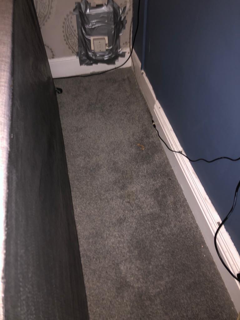 Bedbug Treatment 4 Bedbug Treatment 4