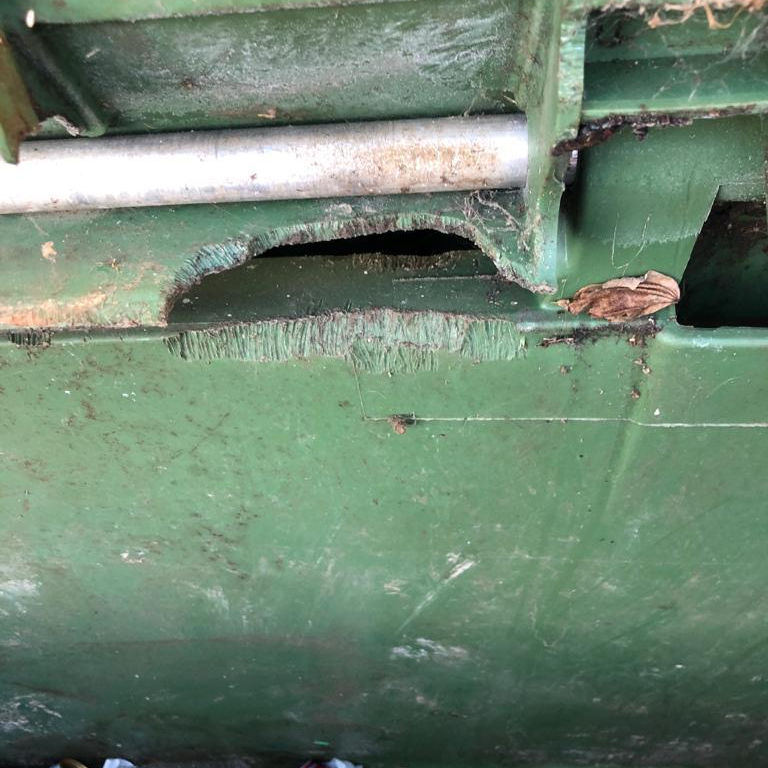 Rat Chew Marks Rat Chew Marks