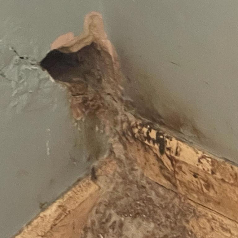 Rat Smear Marks around Access Hole Rat Smear Marks around Access Hole
