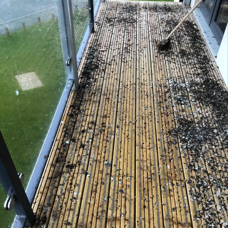 Birds - droppings on a balcony Birds - droppings on a balcony