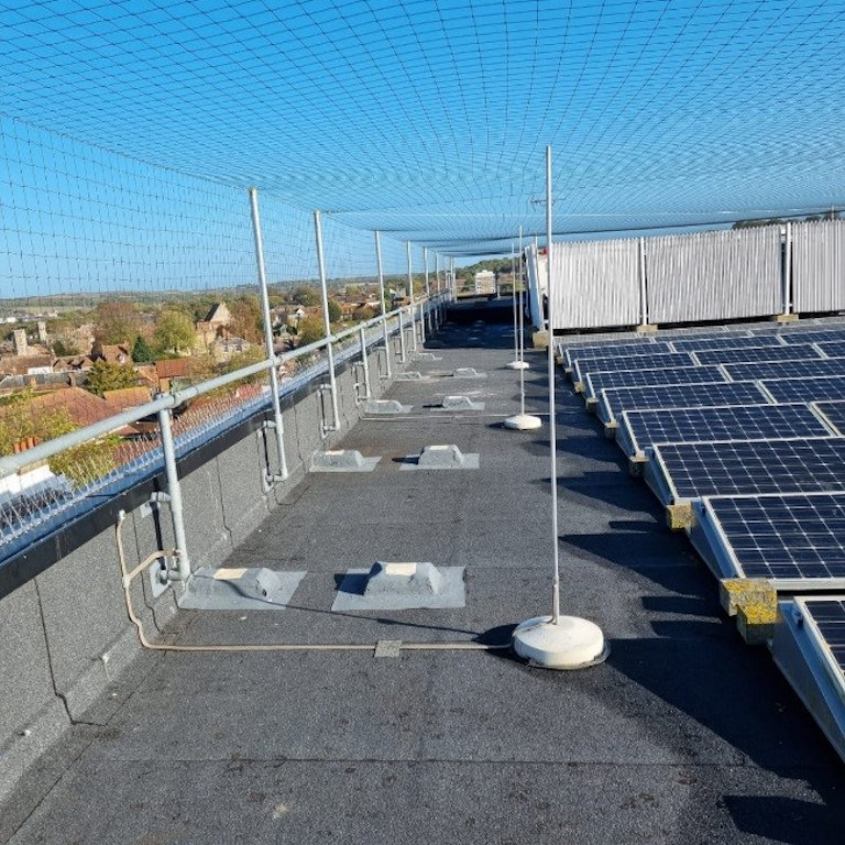 Bird Control Hospital Roof Bird Netting and Spikes Bird Control Hospital Roof Bird Netting and Spikes