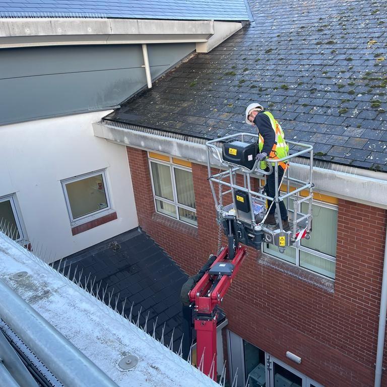 Bird Control Working at height Bird Spike installation Bird Control Working at height Bird Spike installation
