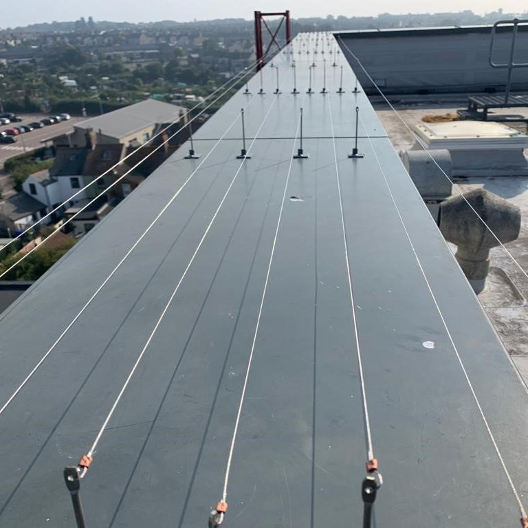 Bird Control Protective Wire Runs Bird Control Protective Wire Runs