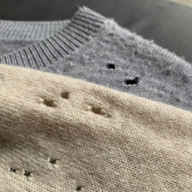 Carpet Beetles Damage to Clothing Carpet Beetles Damage to Clothing