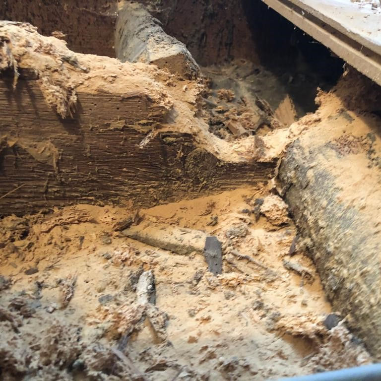 Woodworm - extensive damage to floor infrastructure Woodworm - extensive damage to floor infrastructure
