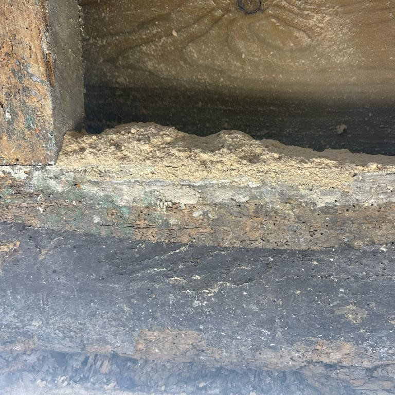 Woodworm - sawdust pile Woodworm - sawdust pile