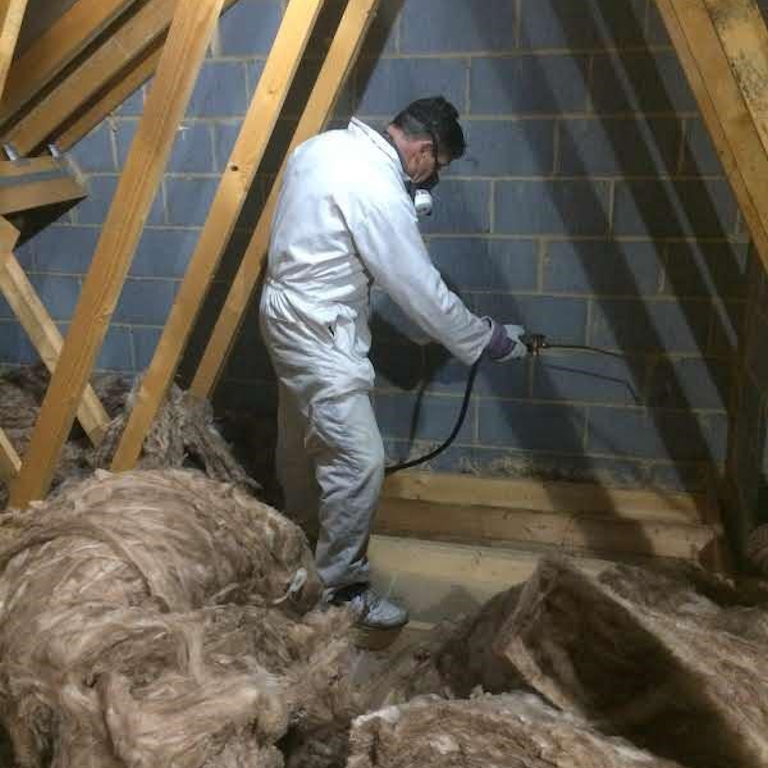 Woodworm Treatment Woodworm Treatment