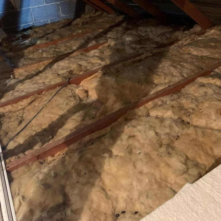 Loft Insulation Removal - Contaminated Insulation before Removal Loft Insulation Removal - Contaminated Insulation before Removal