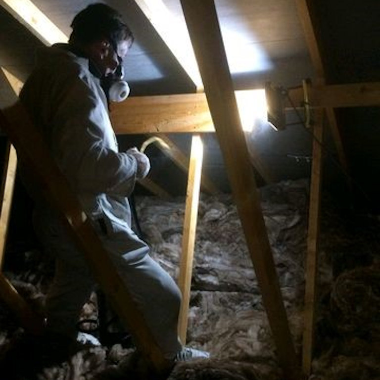 Loft Insulation Removal - Area disinfection to kill harmful pathogens and bacteria Loft Insulation Removal - Area disinfection to kill harmful pathogens and bacteria