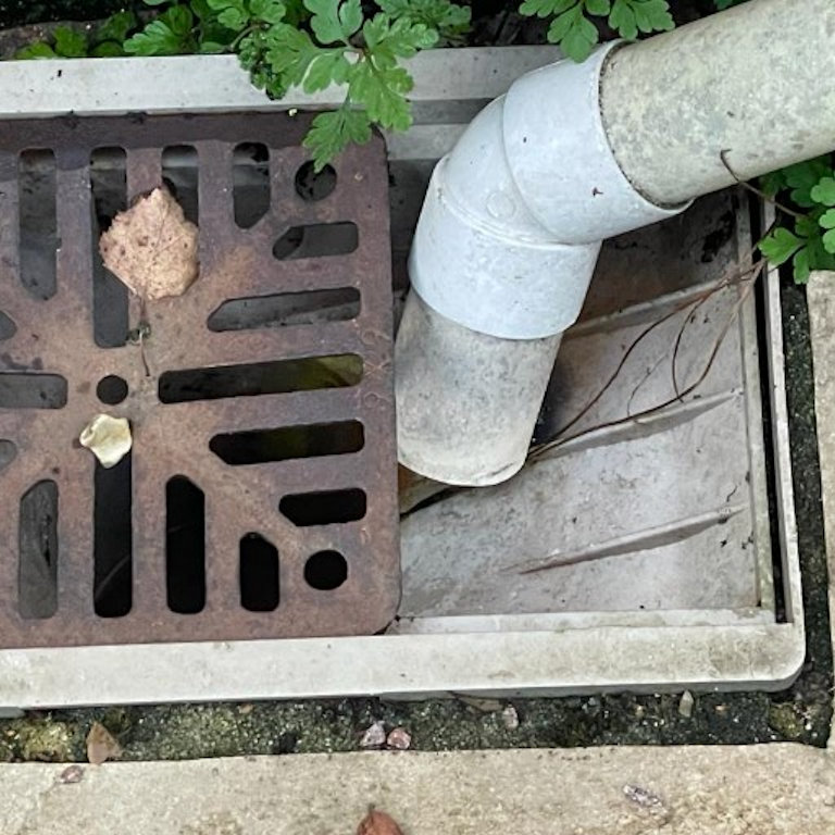 Pest Proofing Drain Mesh Cover Before Pest Proofing Drain Mesh Cover Before