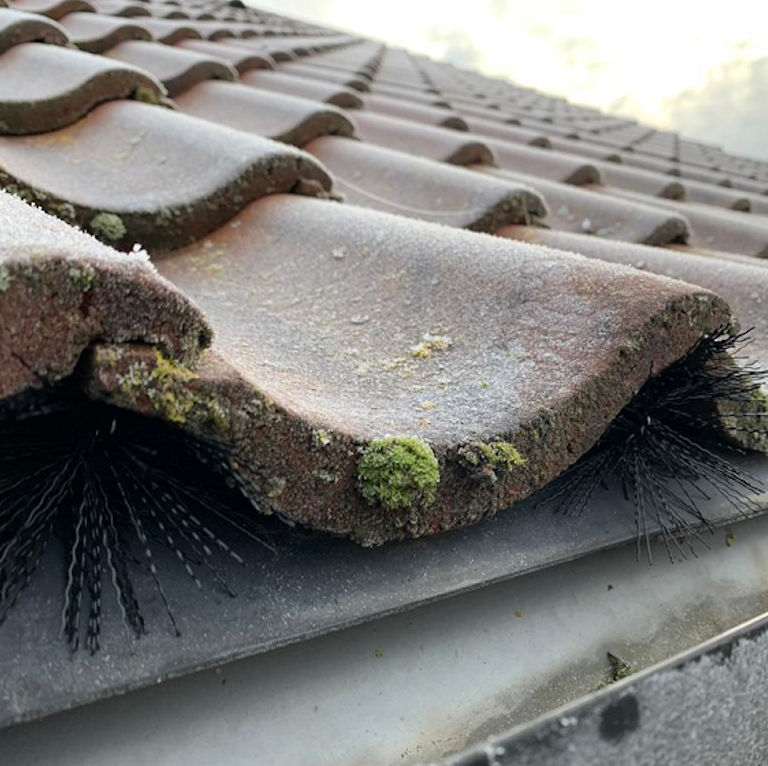 Pest Proofing Tiles Brush Strip After Pest Proofing Tiles Brush Strip After