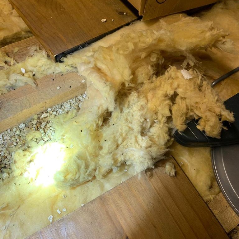 Mice Damaged Insulation Mice Damaged Insulation