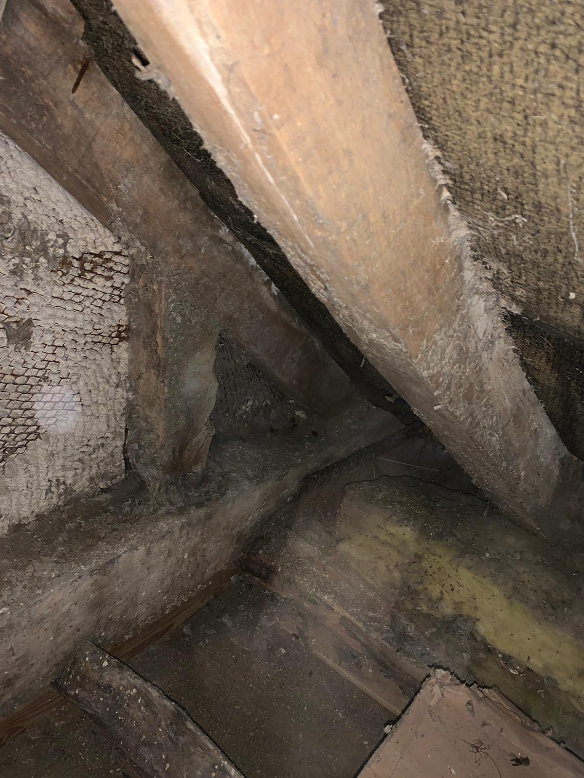Wasps Nest 2 Wasps Nest 2