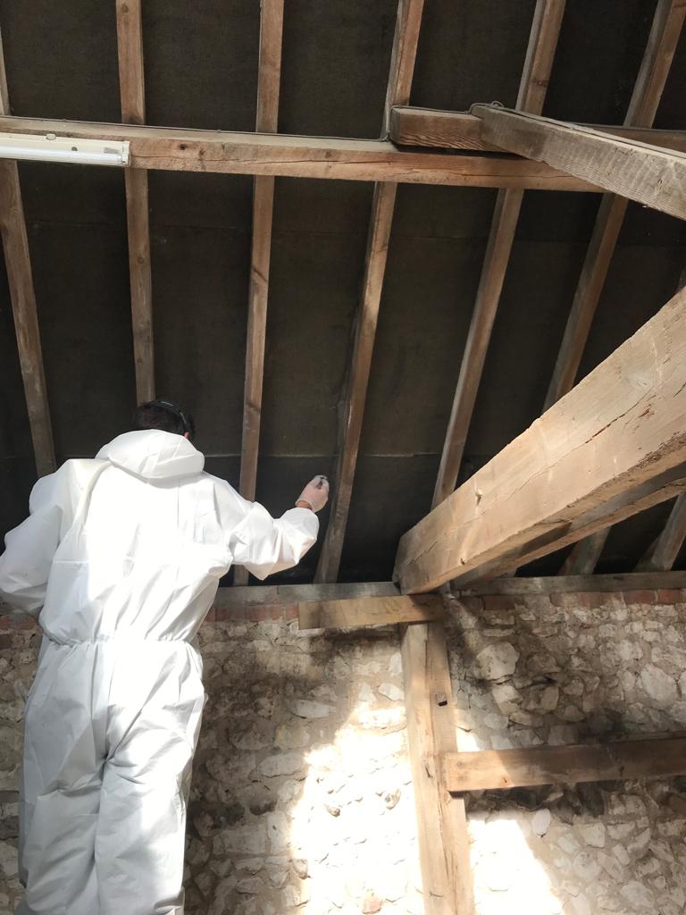 Woodworm Ipswich 3 Woodworm Ipswich 3