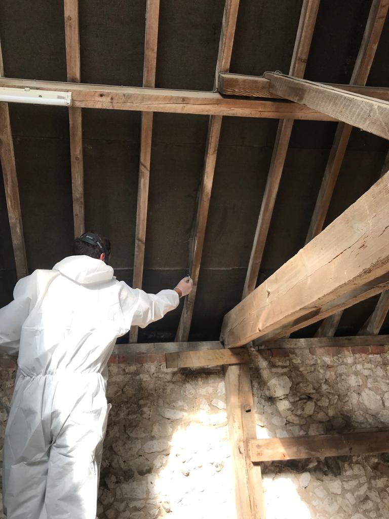 Woodworm Ipswich 1 Woodworm Ipswich 1