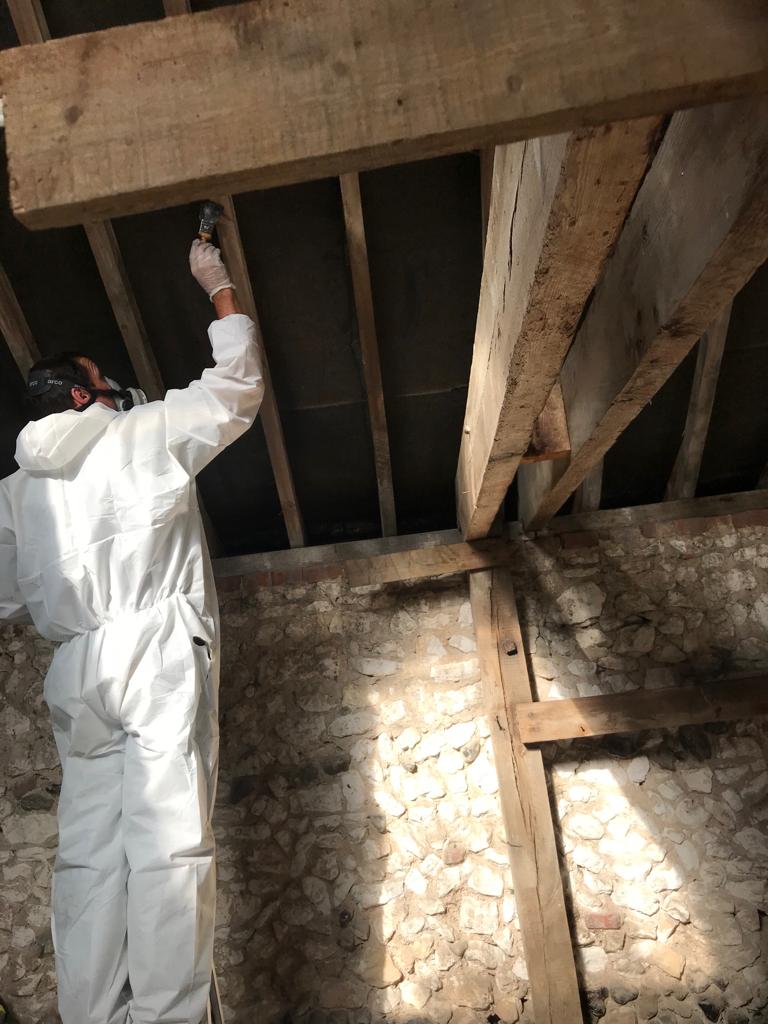Woodworm Ipswich 2 Woodworm Ipswich 2
