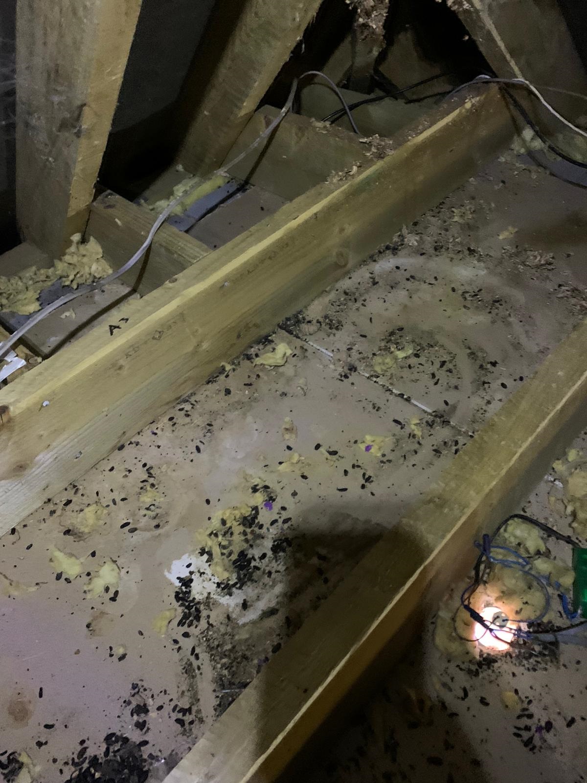 loft cleaning loft cleaning